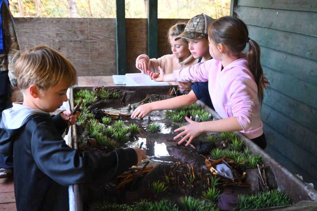 TLDSB students attend the 2025 Haliburton-Muskoka-Kawartha Children’s Water Festival